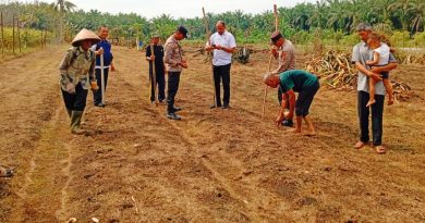 Kapolsek Kampar Kiri Hilir (KKH), AKP Era Maifo, S.H., pada Rabu (3/6/2026) pagi sekitar pukul 09.30 WIB melaksanakan penanaman perdana komoditas jagung pipil di Desa Sungai Simpang Dua, Kecamatan Kampar Kiri Hilir, Kabupaten Kampar, Riau. (Foto: Humas Polres Kampar)