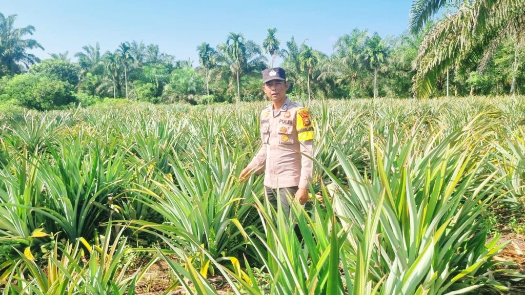 Kapolsek Teluk Meranti, IPDA Vicki Rizky, menyambangi area perkebunan warga di Kecamatan Teluk Meranti, Kabupaten Pelalawan, Sabtu (6/6/2026). (Foto: Humas Polsek Teluk Meranti)