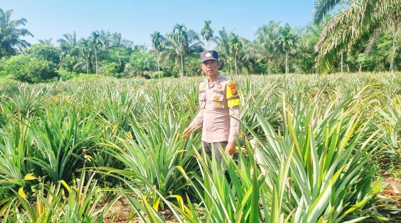 Kapolsek Teluk Meranti, IPDA Vicki Rizky, menyambangi area perkebunan warga di Kecamatan Teluk Meranti, Kabupaten Pelalawan, Sabtu (6/6/2026). (Foto: Humas Polsek Teluk Meranti)