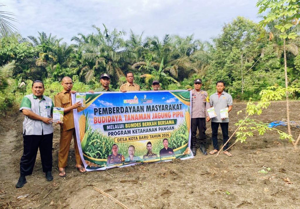 Polsek Tapung Hilir bersama Badan Usaha Milik Desa (BUMDes) Berkah Bersama Desa Kota Baru melaksanakan penanaman perdana 30.000 bibit jagung pipil varietas Betras RT 008 RW 006, Jalan Baru, Desa Kota Baru, Kecamatan Tapung Hilir, Kabupaten Kampar, Riau, Senin (8/6/2026) pagi. (Foto: Humas Polres Kampar)