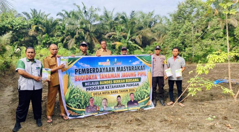 Polsek Tapung Hilir bersama Badan Usaha Milik Desa (BUMDes) Berkah Bersama Desa Kota Baru melaksanakan penanaman perdana 30.000 bibit jagung pipil varietas Betras RT 008 RW 006, Jalan Baru, Desa Kota Baru, Kecamatan Tapung Hilir, Kabupaten Kampar, Riau, Senin (8/6/2026) pagi. (Foto: Humas Polres Kampar)