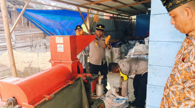 Kapolsek Perhentian Raja IPTU Sulistiyono, S.M., Kepala BPP Pertanian Kecamatan Sarbaini, S.P., serta Penyuluh Pertanian Lapangan (PPL) Desa Pantai Raja, Idrawati bergotong royong menghiasi lahan pertanian Desa Pantai Raja, Kecamatan Perhentian Raja, Kabupaten Kampar, Riau, Jumat (5/6/2026) pukul 10.00 WIB. (Foto: Humas Polres Kampar)
