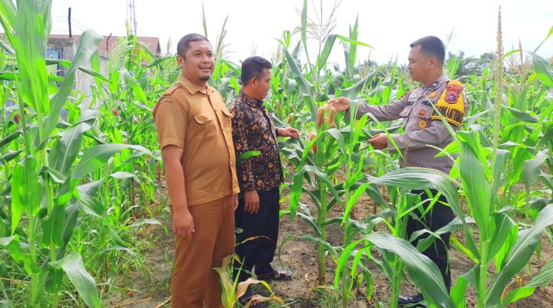 Bhabinkamtibmas Desa Tapung Makmur, Aipda Imam Suprapto, S.H., turun ke lapangan bersama Kepala Desa dan Direktur BUMDes setempat pada Senin (22/6/2026) pukul 13.30 WIB. (Foto: Humas Polres Kampar)