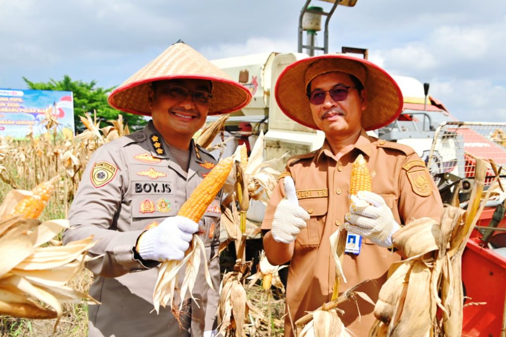 Karo SDM Polda Riau, Kombes Pol. Dr. Boy Jeckson Situmorang, S.H., S.I.K., M.H., bahkan kedapatan mengendarai langsung mesin pemotong combine harvester di atas lahan seluas 4 hektare, Selasa (23/6/2026) pagi. (Foto: Humas Polda Riau)