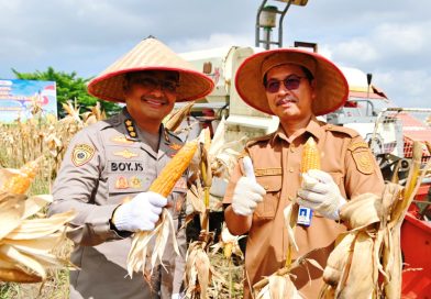 Karo SDM Polda Riau, Kombes Pol. Dr. Boy Jeckson Situmorang, S.H., S.I.K., M.H., bahkan kedapatan mengendarai langsung mesin pemotong combine harvester di atas lahan seluas 4 hektare, Selasa (23/6/2026) pagi. (Foto: Humas Polda Riau)