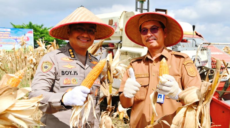 Karo SDM Polda Riau, Kombes Pol. Dr. Boy Jeckson Situmorang, S.H., S.I.K., M.H., bahkan kedapatan mengendarai langsung mesin pemotong combine harvester di atas lahan seluas 4 hektare, Selasa (23/6/2026) pagi. (Foto: Humas Polda Riau)