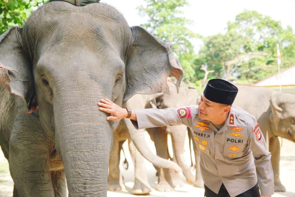 Kapolda Riau, Irjen Pol Herry Heryawan, saat mengunjungi Pusat Latihan Gajah (PLG) Minas di Kabupaten Siak pada Jumat (10/7/2026). (Foto: Humas Polda Riau)
