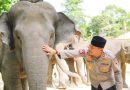 Kapolda Riau, Irjen Pol Herry Heryawan, saat mengunjungi Pusat Latihan Gajah (PLG) Minas di Kabupaten Siak pada Jumat (10/7/2026). (Foto: Humas Polda Riau)