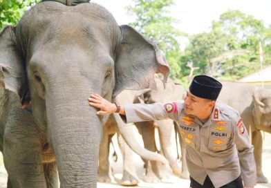 Kapolda Riau, Irjen Pol Herry Heryawan, saat mengunjungi Pusat Latihan Gajah (PLG) Minas di Kabupaten Siak pada Jumat (10/7/2026). (Foto: Humas Polda Riau)