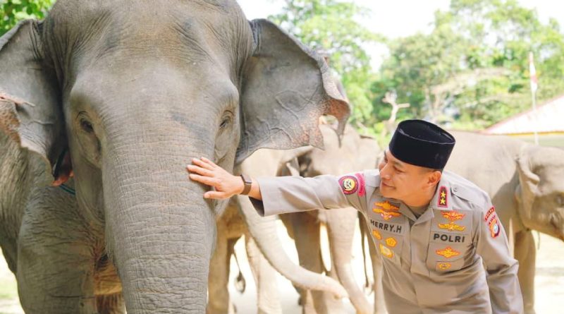 Kapolda Riau, Irjen Pol Herry Heryawan, saat mengunjungi Pusat Latihan Gajah (PLG) Minas di Kabupaten Siak pada Jumat (10/7/2026). (Foto: Humas Polda Riau)