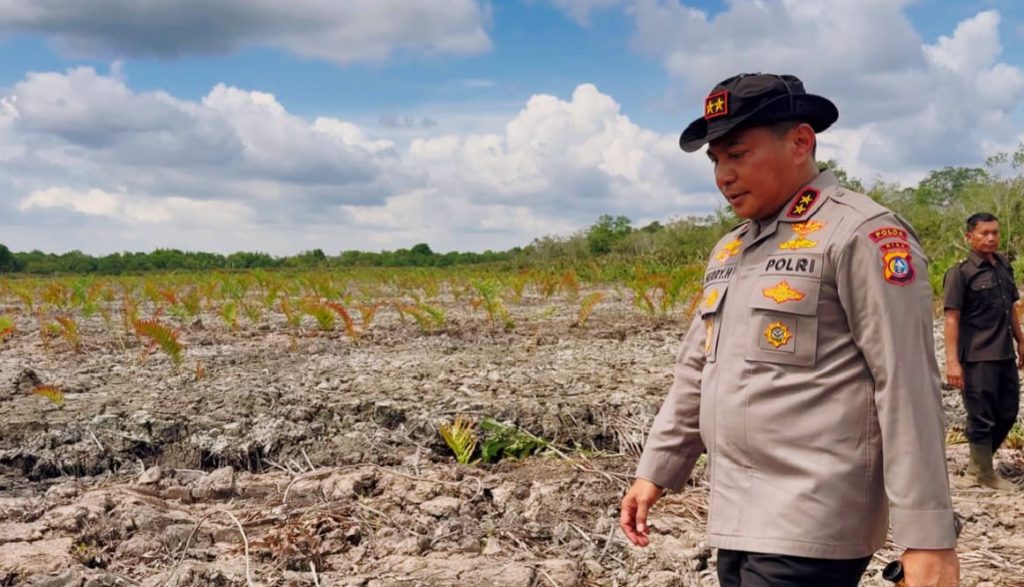 Kapolda Riau Irjen Pol Herry Heryawan turun langsung meninjau lokasi perusakan hutan mangrove i Dusun Batang Kopau Sungai Siakap Kecil dan Dusun Indah Lestari, Kepenghuluan Pasir Limau Kapas, Jumat (24/7/2026). (Foto: Bidhumas Polda Riau)