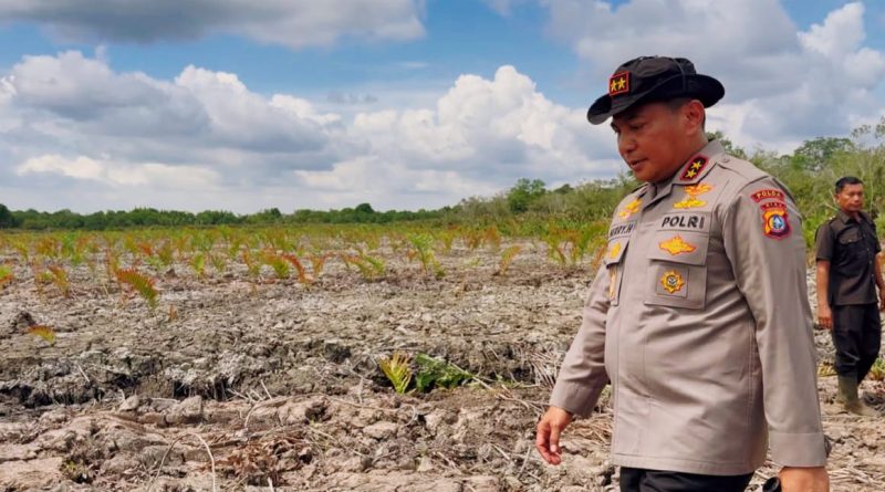 Kapolda Riau Irjen Pol Herry Heryawan turun langsung meninjau lokasi perusakan hutan mangrove i Dusun Batang Kopau Sungai Siakap Kecil dan Dusun Indah Lestari, Kepenghuluan Pasir Limau Kapas, Jumat (24/7/2026). (Foto: Bidhumas Polda Riau)
