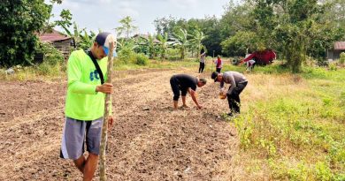 Polsek Sabak Auh bersama kelompok tani setempat melaksanakan gerakan penanaman jagung pipil di Jalan Siak - Pakning, RT 01/RW 01, Kampung Belading, Kecamatan Sabak Auh, Senin (31/8/2026). (Foto: Humas Polsek Sabak Auh)