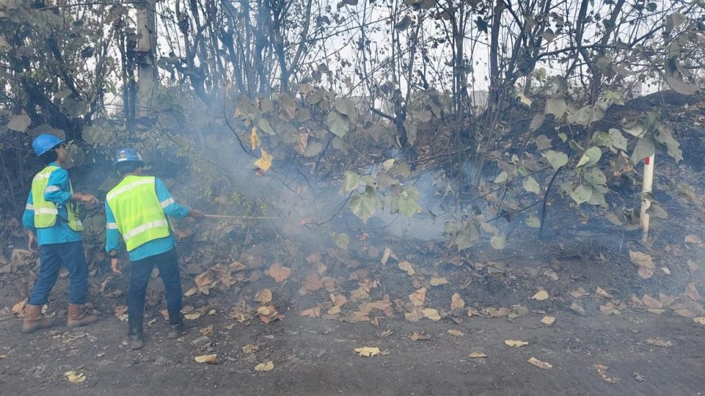 PT Bukit Asam Tbk (PTBA), anggota Holding BUMN Pertambangan MIND ID, terus memperkuat kontribusinya dalam penanganan Kebakaran Hutan dan Lahan (Karhutla), Selasa (8/9/2026). (Foto: Humas PTBA)