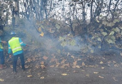 PT Bukit Asam Tbk (PTBA), anggota Holding BUMN Pertambangan MIND ID, terus memperkuat kontribusinya dalam penanganan Kebakaran Hutan dan Lahan (Karhutla), Selasa (8/9/2026). (Foto: Humas PTBA)