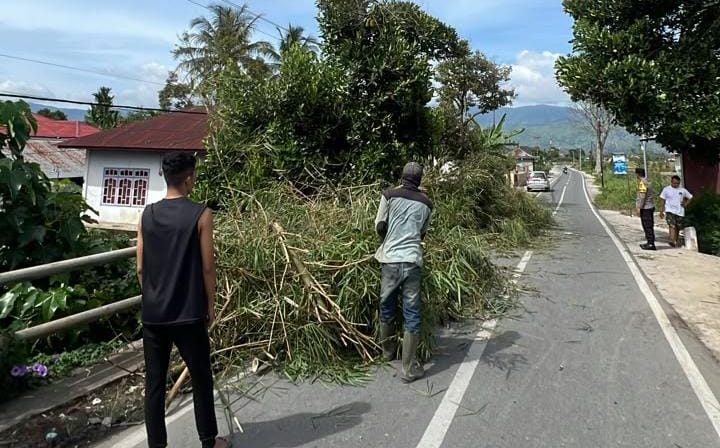 Dua orang warga sedang membereskan bambu yang roboh. (Foto: RRI)