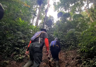 Pendakian Taman Nasional Kerinci Seblat (TNKS) oleh Tim Patroli KSPCU (Kesatuan Pengelolaan Sumber Daya dan Konservasi Unit) pada akhir Agustus lalu. (Foto: Hasil Tangkapan Layar Instagram @bbtn_kerinciseblatofficial)