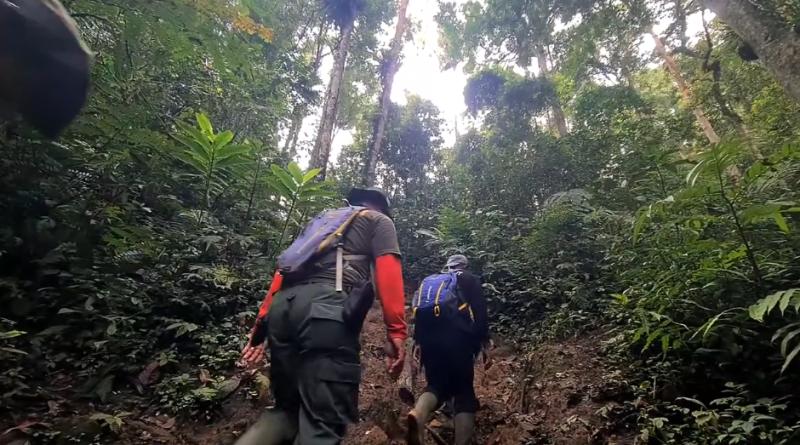 Pendakian Taman Nasional Kerinci Seblat (TNKS) oleh Tim Patroli KSPCU (Kesatuan Pengelolaan Sumber Daya dan Konservasi Unit) pada akhir Agustus lalu. (Foto: Hasil Tangkapan Layar Instagram @bbtn_kerinciseblatofficial)