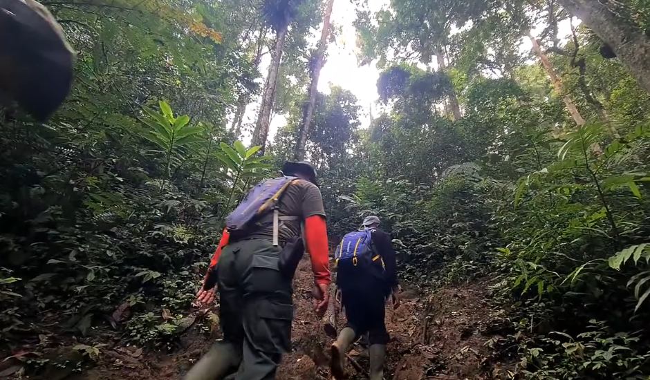 Pendakian Taman Nasional Kerinci Seblat (TNKS) oleh Tim Patroli KSPCU (Kesatuan Pengelolaan Sumber Daya dan Konservasi Unit) pada akhir Agustus lalu. (Foto: Hasil Tangkapan Layar Instagram @bbtn_kerinciseblatofficial)